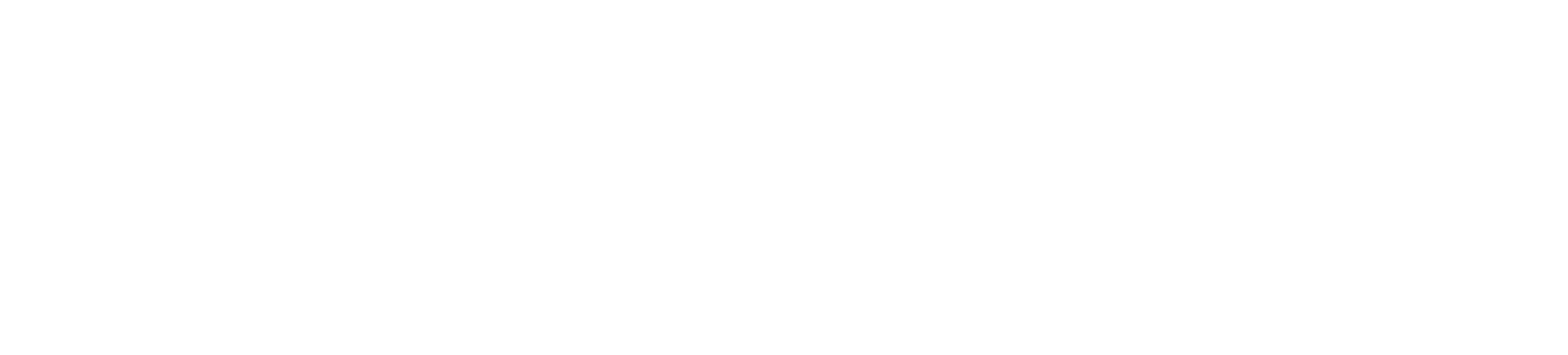 HIT Logo White